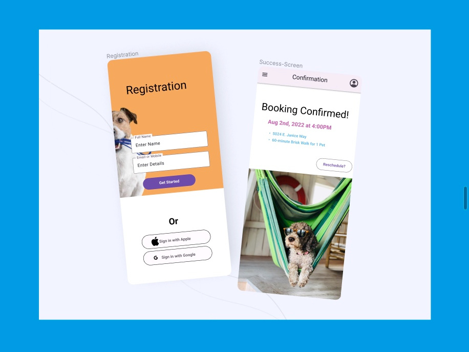 dog walking app case study