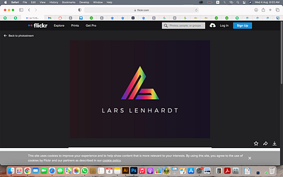 Lars Lenhardt Brand Logo branding design illustration logo logo design vector