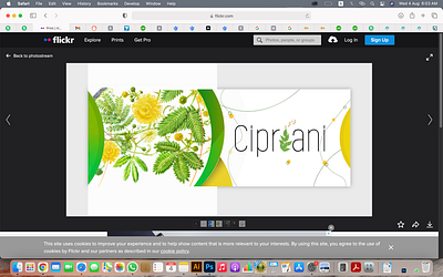 Cipriani branding illustration logo logo design