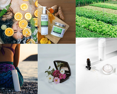 Moodboard for organic skincare brand branding