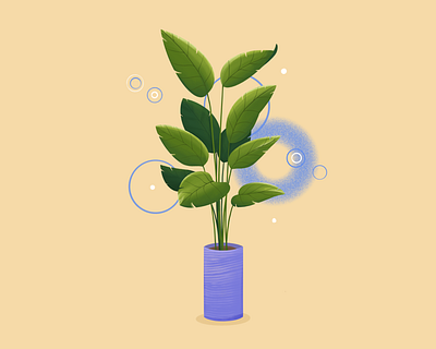 Plant in the pot flower green illustration plants