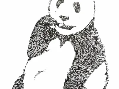 smokingPanda graphic design illustration panda sketch smoking