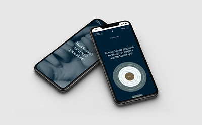 Hodges Consulting / Website Mockup on iPhone 11 brand branding business consultancy consultant design high end logo luxury mobile responsive ui ux web webflow website