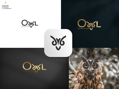 Owl logo line branding corporate branding design graphic design illustration logo logodesign vector