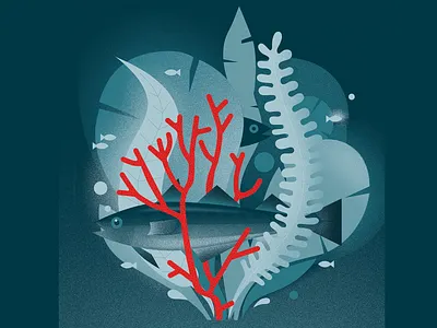 Illustration for fishing magazine 2d after effects artvork computer graphics design digital art fish fisherry illustration magazine nozies ocean