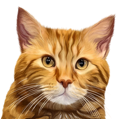 Cinnamon bun animals artist cat furry illustration illustrator kitty pets portraits