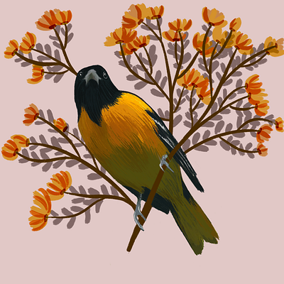 Snoop much? artist birdie birds change curiosity expressions floral flowers hello illustrations nature outdoors