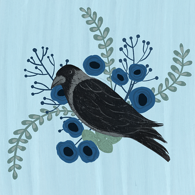 Crow artist bird crow illustration illustrator indiancrow nature