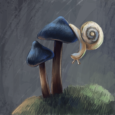 Mushrooms adobephotoshop digitalart digitalpainting illustration illustration art illustrator mushroomart mushrooms