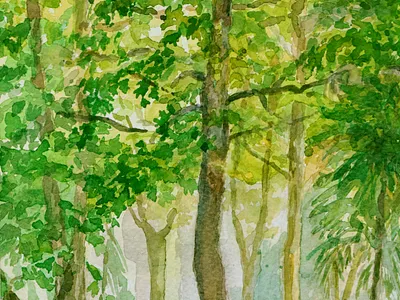 Árboles en el parque acuarela árboles