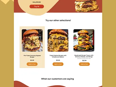 Fictional Ridiculous Burger Restaurant burger dailyui design food food ui food website ui