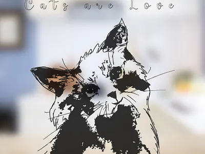Cat Illustration cat cat background cat illustration cat is love cat lover catlogo cats graphic design illustration logo