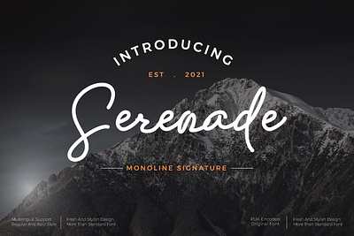 Serenade font branding design font illustration letter logo typography ui ux vector