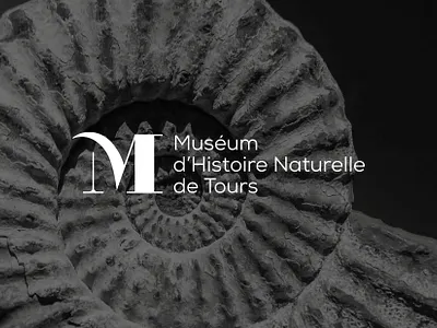 Muséum d'Histoire Naturelle de Tours branding graphic design logo museum
