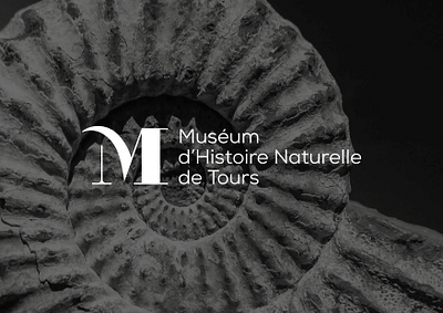 Muséum d'Histoire Naturelle de Tours branding graphic design logo museum