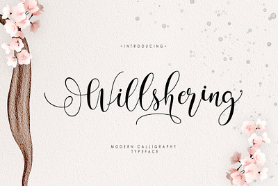 Willshering Script blogger illustrations