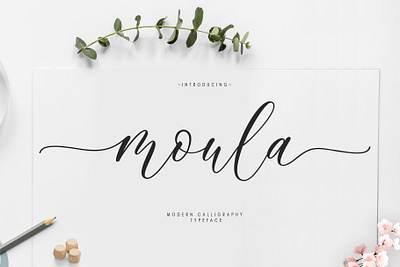 Maula Script blogger illustrations