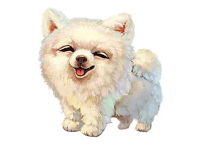 Animal illustrations animal illustrations dog illustrations