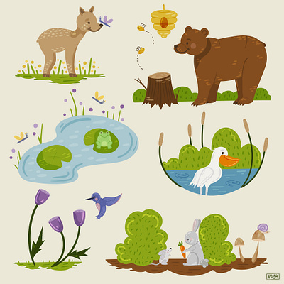 Woodland Animals animal drawing animal illustration animal vector animals cute illustration cute illustrations design digital drawing digital illustration doodles illustration