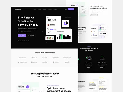 Cloudwise - Landing page banking business clean design expense expense management finance financial fintech landing page management money management product design saas ui ux web website