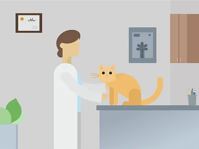 A day at the vet app branding design graphic design illustration vector