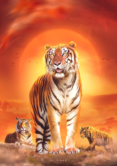 El Tigre - artwork africa animals artwork design photoshop sunset tiger