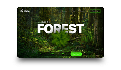 Forest Adventure Concept