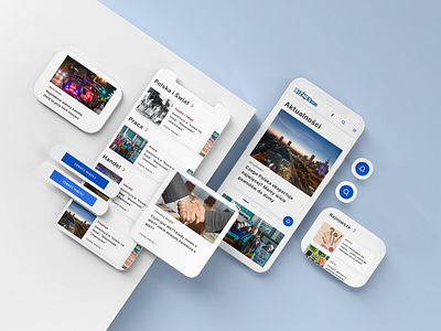 Biznesinfo.pl - Your door to the world of businnes design ideas interface ui website