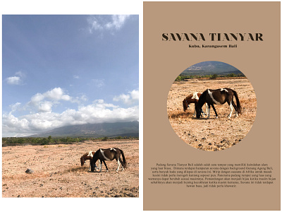 SAVANA TIANYAR, BALI branding design lightroom photography typography