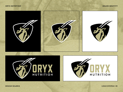 Oryx Nutrition | Branding black bold brand identity branding crest dubai energy exercise fitness identity logo logo design mascot mascot logo nutrition oryx sand shield sports logo vector