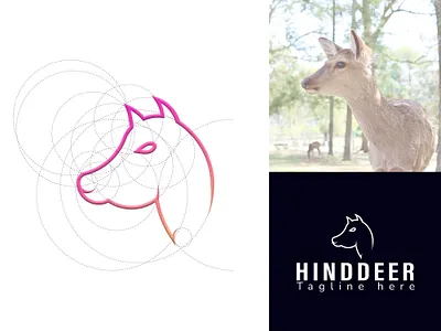HindDeer Logo Concept 3d animation branding design graphic design illustration logo logodesign modern modern logo design motion graphics simple ui vector