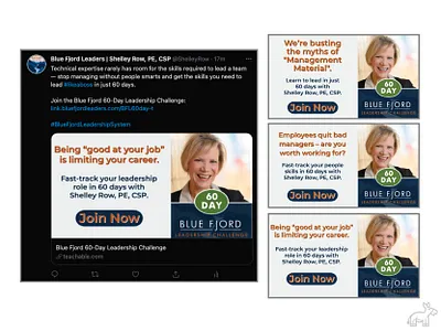 BFL 60-Day Leadership Challenge/Webinar Campaign ad campaign social media social media ad social media advertising social media agency social media management twitter twitter ad twitter campaign
