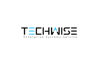 Techwise Logo branding design flat graphic graphic design logo vector