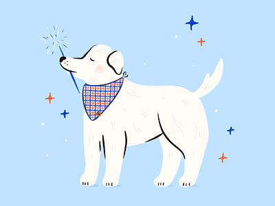 July 4th Pup design dog doggo hand drawn holiday illustration illustrator july 4th procreate pup