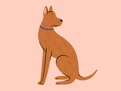 Foggy Doggo design dog doggo hand drawn illustration illustrator pet pet portrait procreate texture