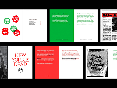 Thesis Pages book design design editorial design graphic design