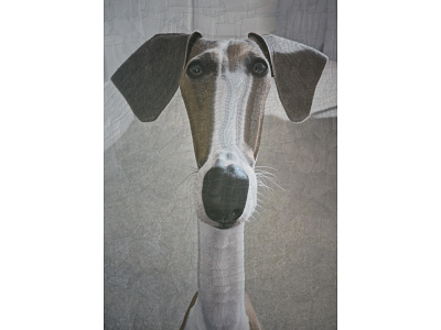 Eddie collage dog dogs illustration paper portrait