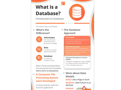 Infographic Design - Database Introduction Infographic Design database database infographic design flat design infographic infographic design poster