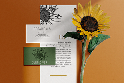 Sunflower autumn botanical botanicaldesign branding design floral flower graphic design graphics illustration logo postcards summer sunflower vintage