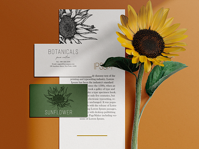 Sunflower autumn botanical botanicaldesign branding design floral flower graphic design graphics illustration logo postcards summer sunflower vintage
