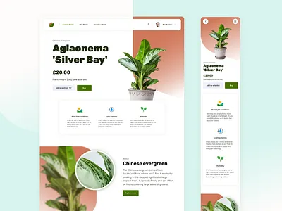 Plant shop UI Challenge branding design ecommerce green leaf logo plant search shop typography ui user interface