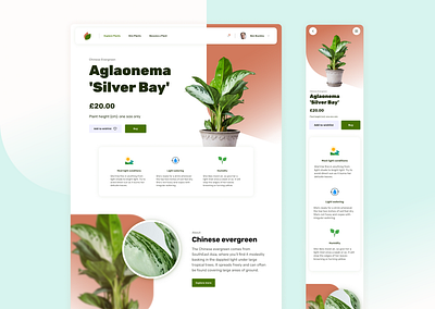 Plant shop UI Challenge branding design ecommerce green leaf logo plant search shop typography ui user interface
