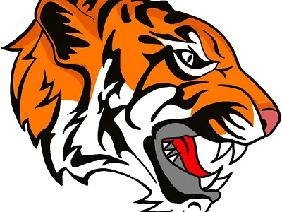 Tiger Tiger branding energy illustration sketching vector
