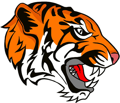 Tiger Tiger branding energy illustration sketching vector