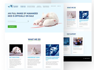 Jakson Laboratory website UI Redesign app design app ui best shot clean homepage landing page landingpage minimal mobileapp redesign ui ui design uidesign uiux uiux design ux ux design webapp website website design