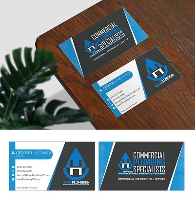 Business Cards | Visiting Cards branding business card business cards design graphicdesign illustration logo logodesigner logodesigns sticker design ui vector visiting card