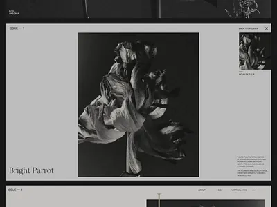 Flowers Magazine animation design interface promo ui ux web website