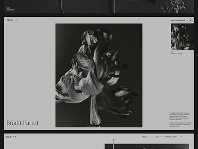 Flowers Magazine animation design interface promo ui ux web website