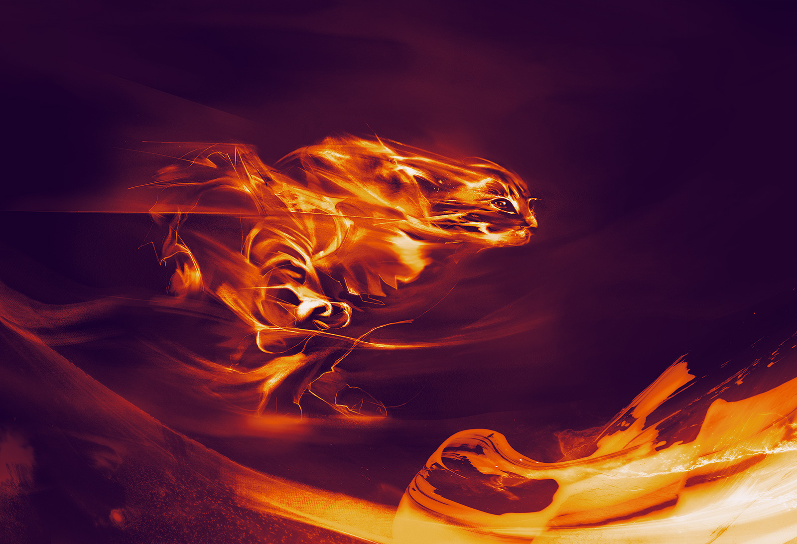 Cat Speed cat digitalillustration drawing illustration