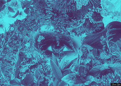 Amongst the flowers / part 2 collage collageart flowers